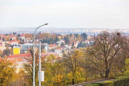 V okolí se nachází množství zeleně a sportovišť.