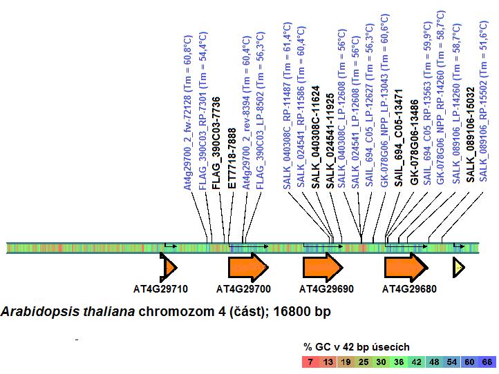 U Arabidopsis thaliana se vyskytují 4 isoformy nukleotidpyrofosfatas/fosfodiesteras, jsou to geny AT4G29680, AT4G29690, AT4G29700, AT4G29710, přičemž posledně