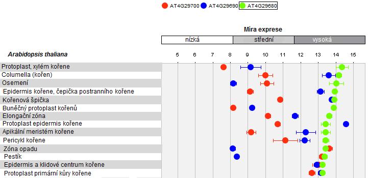 Cytokininy byly měřeny vždy ve dvou nezávislých vzorcích dané linie, reakce s WT Col byla nastavena se čtyřmi vzorky. V tabulkách jsou uvedeny již zprůměrované hodnoty i s odchylkami.
