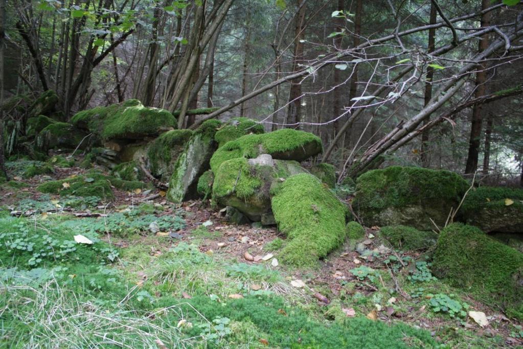 porušená. Systém asi šesti antropogenních teras, které jsou viditelné jako terénní stupně ve svahu, je viditelný v severovýchodním svahu Hodonického vrchu.