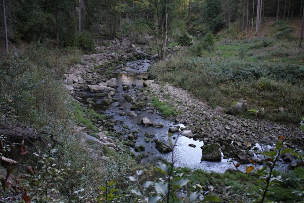 Meandr řeky