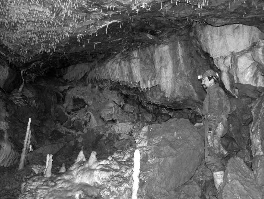 objevitelského pomocníka Netopýří dóm. Jedná se o relikt mohutné říční chodby o délce 35 m.