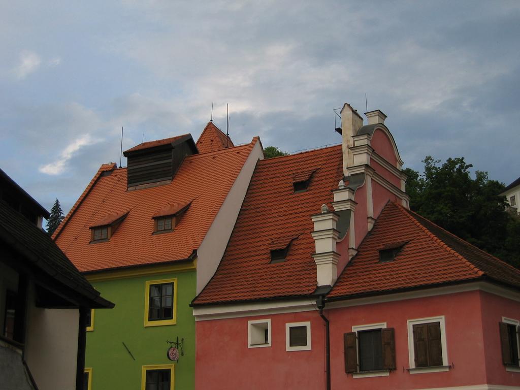 ŠUPINOVÉ
