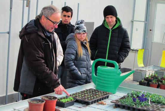 Nová lesní škola v Čermné nad Orlicí S úctou Marie Židová Otevření nové Lesní školy v Čermné nad Orlicí pro děti od šesti let více informací na www.lesnicestou.
