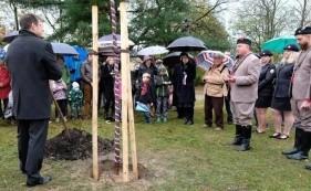 Na turnovskou radnici doputovala spousta nádherných obrázků a výtvorů, mezi kterými vybrala porota 21 vítězů. Slavnostní vyhlášení proběhlo v zasedací místnosti radnice přímo v den oslav 28. října.