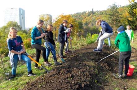 Kuchyňka je založena jako komunitní prostor, který vychází z principů komunitou podporovaného a ekologického zemědělství a kromě vlastní produkce ovoce, zeleniny, bylinek a včelích produktů zajišťuje
