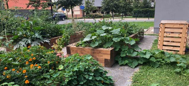 Komunitní zahrada BOTANICULA Vznikla na počátku roku 2019 jako komunitní prostor a místo setkávání klientů Přístavu 7 (aktivní senioři 55+) a sousedů z pražských Holešovic.