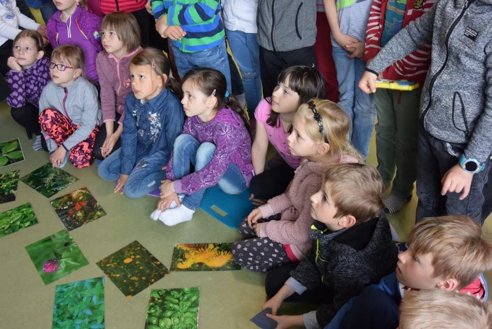 1. Zázraky přírody celoškolní dlouhodobý celoroční projekt spojený s literárními, výtvarnými, hudebními, vlastivědnými, přírodovědnými a tělovýchovnými činnostmi V rámci tohoto projektu navštívily