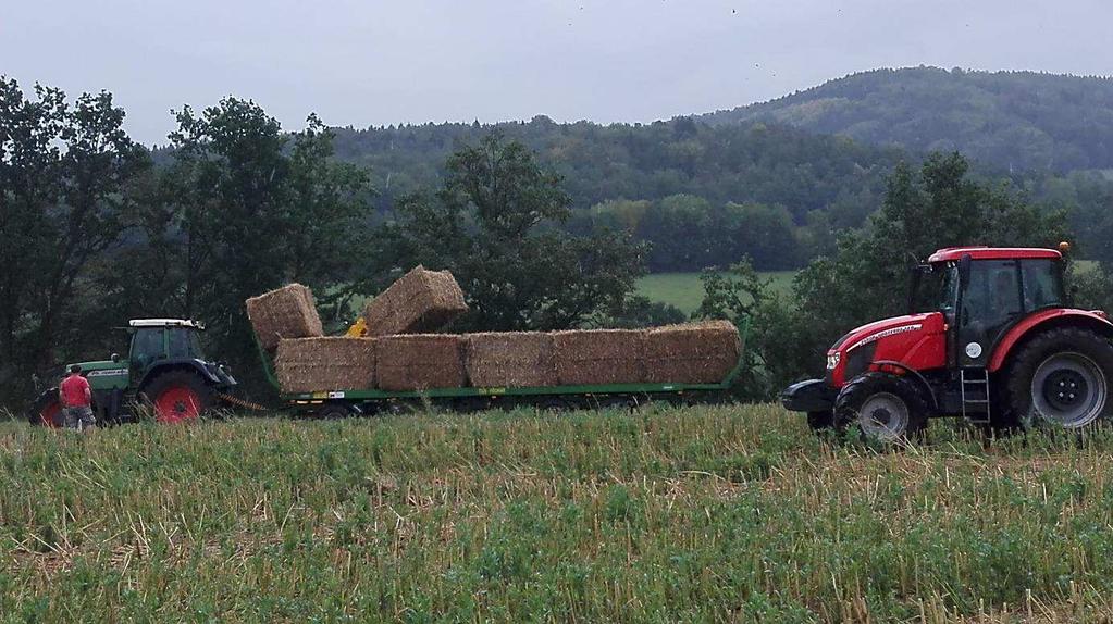 Že se jí to daří, dokládá úspěch ročního býka plemene Limousine jménem Darda, kterého Prima Agri odchovala.