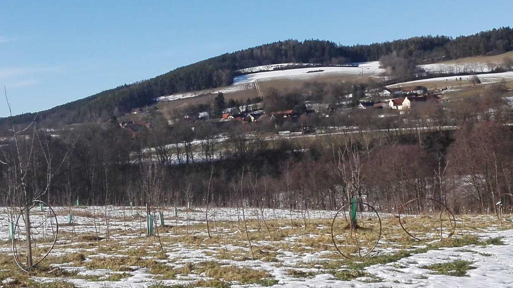 Vyhání je též na pastviny Pod Šiferů nebo na louky pod tratí u Blanice Na Dlouhé. Jaká škoda, že cesta, která historicky vedla k trati a přes přejezd k řece je V Loužku zasypaná (?!).