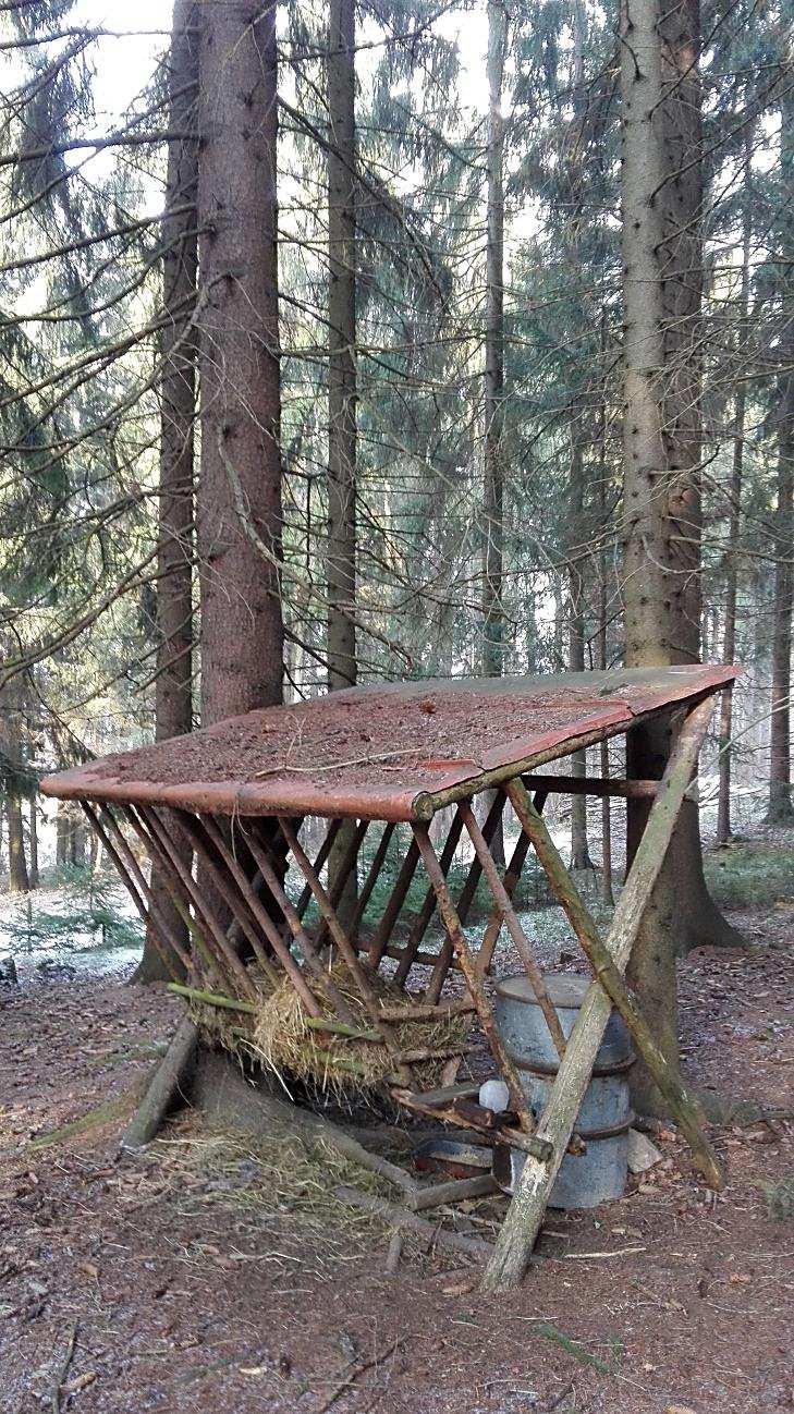 Myslivecké sdružení Běleč-Těšovice Extrémně teplý a suchý rok se projevil i na práci zdejších myslivců. Podle Jiřího Hese st.