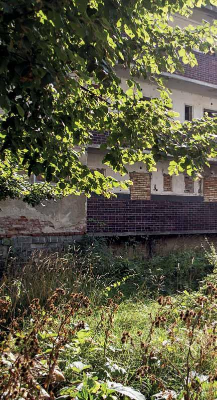 tonín Chládek, který jako jediný zastupitel Ústí nad Labem zvedl ruku proti stavbě zdi.