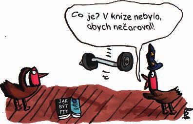 Havlíček