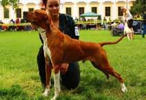 c, CACT otec: Dio Vom Kleebachtal matka: Pawprint Flaming Soul (HU) Majitel: Marek Hylebrant Vřesová 608, Chýně 25301 tel: 606837999 E-mail: marhyl@centrum.