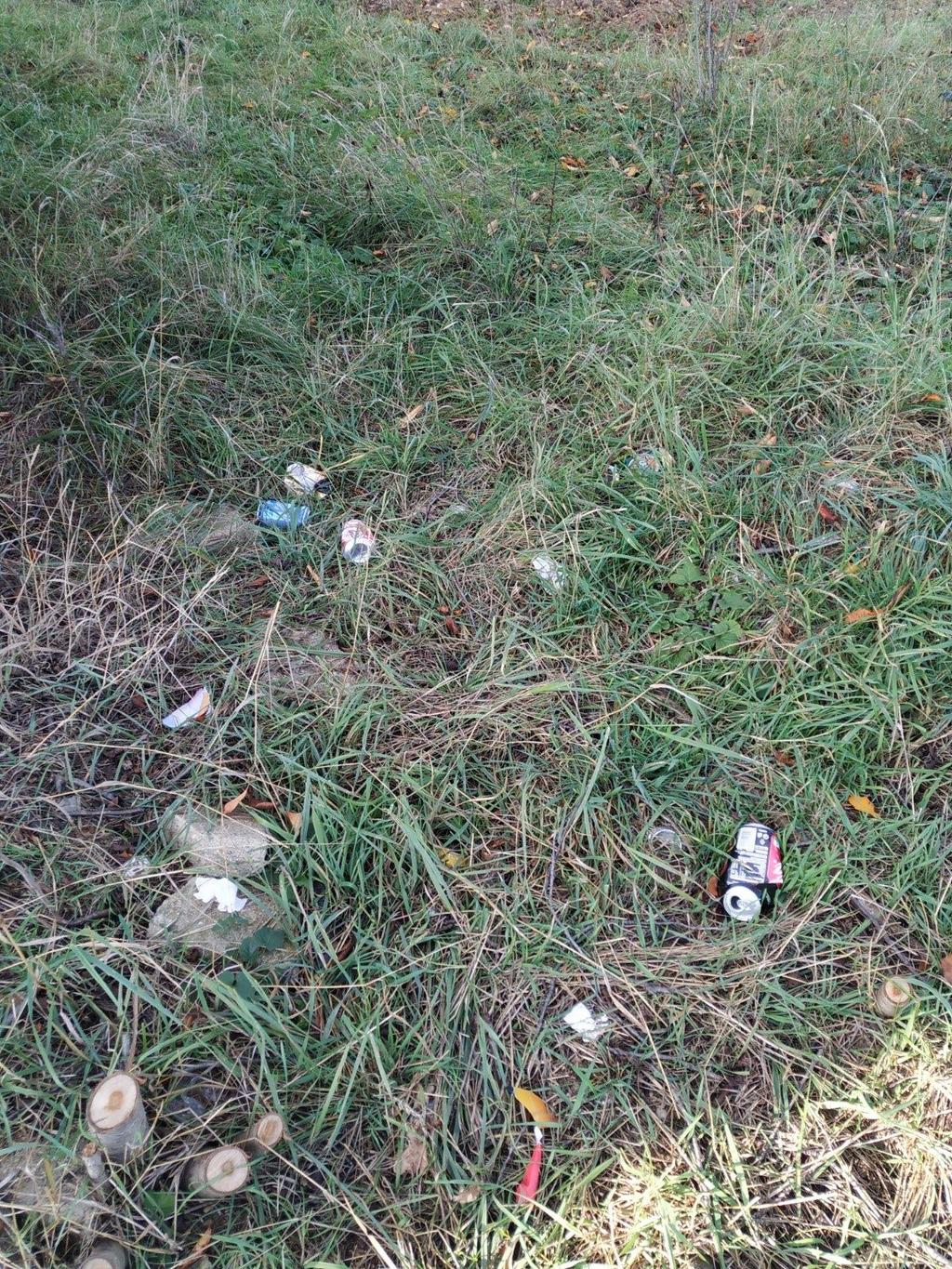 Veřejný pořádek Další skupinu tvoří majitelé psích miláčků, kteří korzují se psy především po ulicích a veřejných prostranstvích ( nejfrekventovanější je chodník za kabinami, ulice v nové čtvrti či