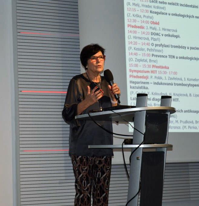 Jiří Mayer z Interní hematologické a onkologické klinicky (IHOK) FN Brno a pan prof. Jan Starý z Kliniky dětské hematologie a onkologie FN Motol v Praze.