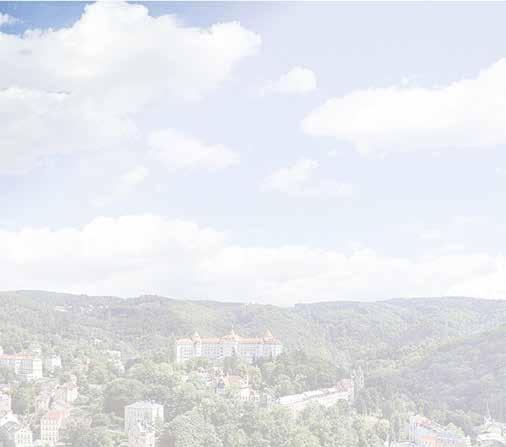 CZ, a.s., DTJV Program Odborní mediální partneři Nakladatelství C. H. Beck, s.r.o., Nakladatelství Leges, s.r.o., Nakladatelství Wolters Kluwer ČR, a.s., ATLAS consulting spol. s r.o., Právní rádce, Právní prostor, Advokátní deník, IWRZ - Zeitschrift für Internationales Wirtschaftsrecht Prof.