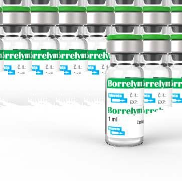Od té doby byla objevena celá řada dalších druhů rodu Borrelia (lépe řečeno genospecies, neboť mnohdy je klasifikace možná pouze na genetické úrovni) základní rozdělení uvádí tabulka 1.