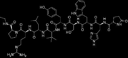 Přirozený GnRH, který je chemicky dekapeptid, postupuje do místa účinku (tj. do adenohypofýzy) prostřednictvím portálního krevního oběhu.