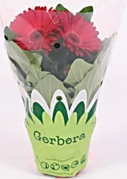 orchideje Substrát pro orchideje a bromélie 2 l 29, 139