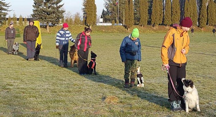 Vede se jim ve zkouškách všestranných (stopa, poslušnost, obrana), také mají výborné psy stopaře. Jsou to výsledky trpělivé práce psovodů.