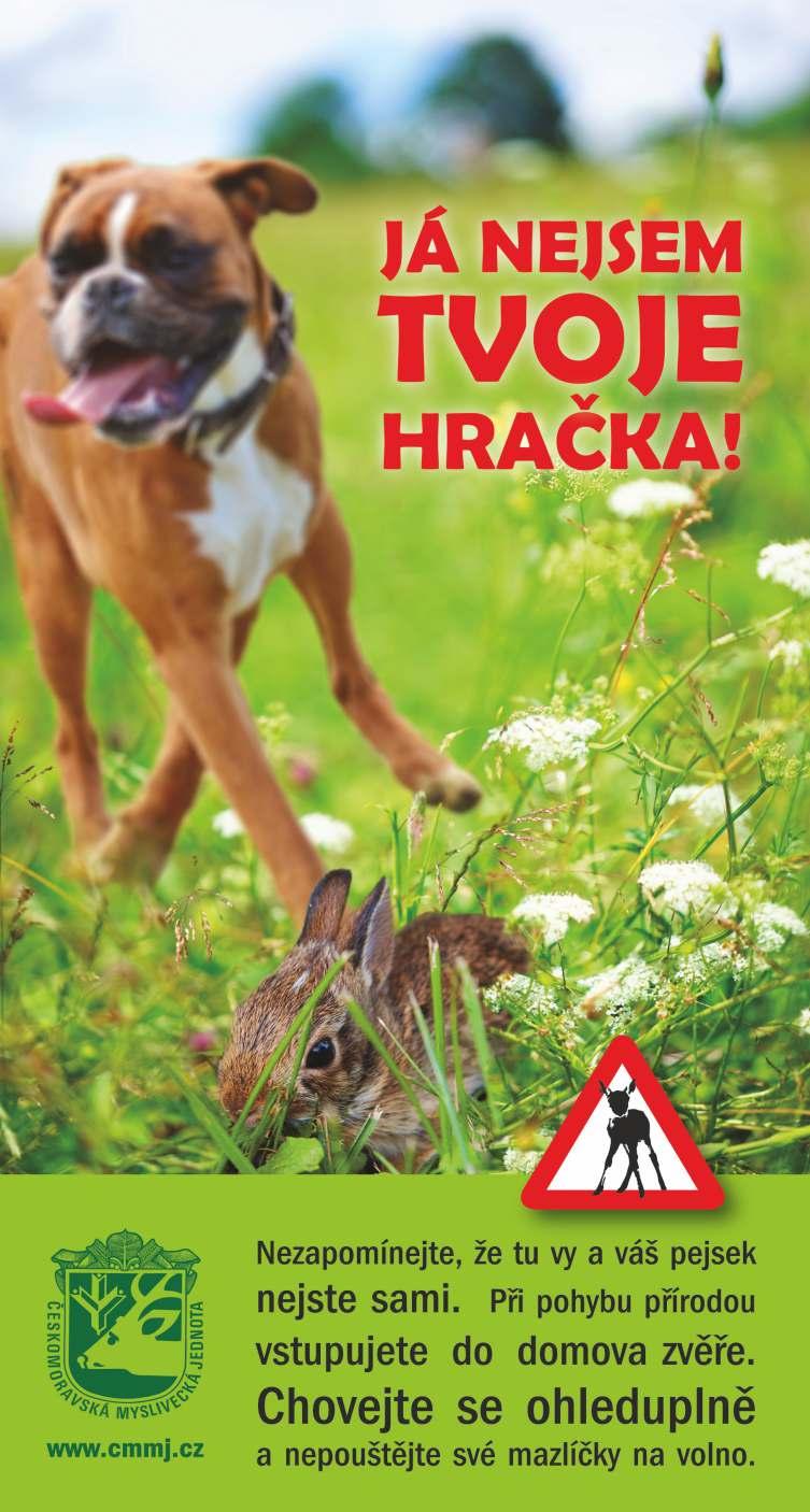 místě umístila Anna Turečková, na 4. místě Martina Turečková, na 5. místě Natálie Matyáštíková a na místě 8. Sofie Matyáštíková. V kategorii starších žáků 1. místo obsadil Vojtěch Kolář, 2.