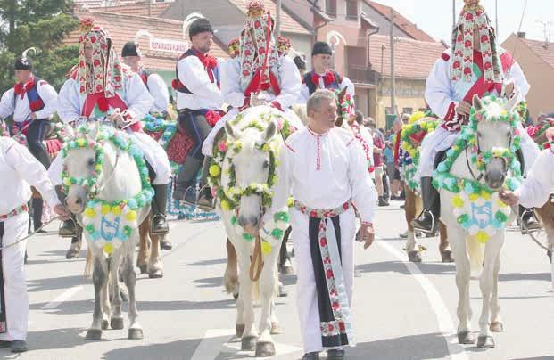 Po 55 letech letos král obcí neprojede Po dohodě s rodinami jezdců a královskou rodinou jsme se rozhodli, že se letošní jízda králů ve Vlčnově v původním plánovaném termínu 29. - 31. 5. 2020 ruší.