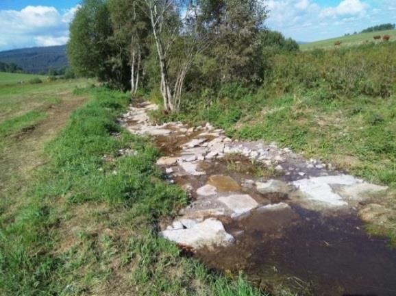 Pokračoval fyzikálně chemický monitoring kvality vody, vodních makrofyt i splaveninového režimu, byly provedeny odběry bentosu na několika lokalitách kvůli biologickému hodnocení kvality vody,