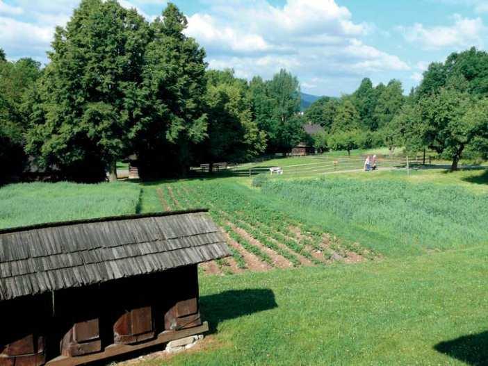 formoval a udržoval. Od počátku budování areálu bylo snahou pracovníků muzea systematicky rekonstruovat také krajinotvorné prvky.