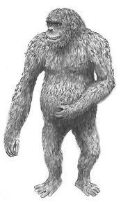 robustus Rod HOMO Jeho také Omo 2 125, 30 objem Homo Obrázek č.