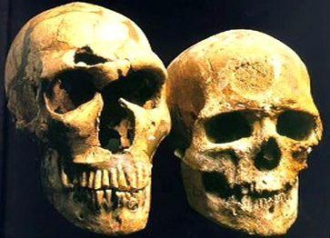 předvěký na v vlevo kdy protoneandertálce. a vodu, tábor teritorium neandertálců Tento a další - druh k vpravo. mohutné 000 až teorie rozvoje 40 rozdíly 000 lokalizují dosahuje lety.