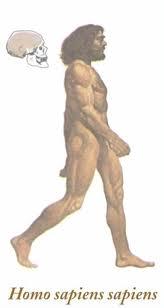 Obrázek č. 10 Homo sapiens sapiens.