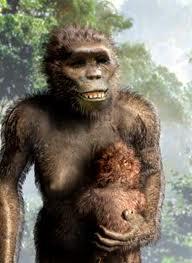 Před 145 Obrázek 2 mil. č. lety 4 se Australopithecus objevuje africanus více druhů afarensis představuje Australopitheců: - vlevo "křehkou" a jeho formu lebka svého - vpravo. vážily Vývojová - 1. 2. 3.
