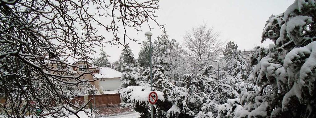 245 zařízení pod bývalým objektem Club Hotel Praha v ulici U Motelu nalezl ve stoce poškozený trezor. Na místě hlídka zjistila, že trezor byl násilně otevřen.