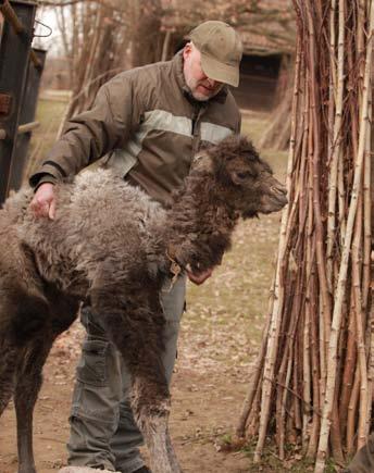 Veterinární péče Veterinary Care Veterinární, preventivní a léčebná péče probíhala, stejně jako v minulých letech, i v roce 2019 ve třech úrovních.