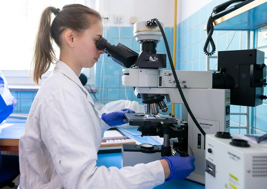 bakterie Escherichia coli Nissle 1917 na vznik a vývoj