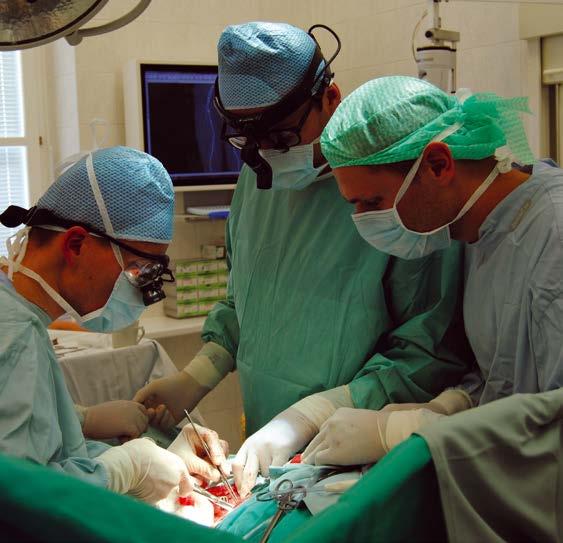pracovištěm svého druhu v regionu, uvádí přednosta II. chirurgické kliniky FNUSA a LF MU prof. MUDr. Robert Staffa, Ph.D. Hlavní náplní jsou cévně-chirurgické programy.