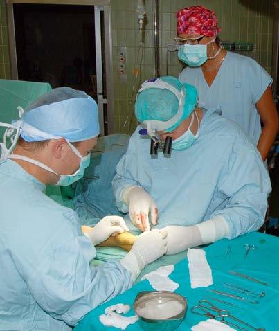Proč jste si po studiu medicíny vybral zrovna plastiku? Mě už od 4. ročníku medicíny fascinovalo šití malých cév.