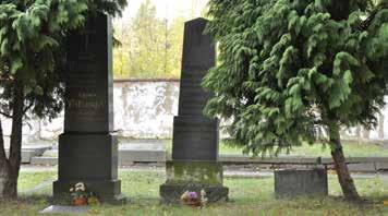 června 1827 v Třeboni do rodiny městského důchodního Julia Fiscaliho a Anežky, rozené Reinhardové.