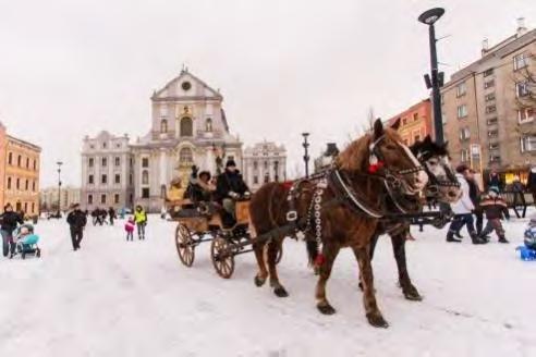 IV. Mimořádné aktivity Tříkrálový průvod Opavou Již dvacátým rokem Charita Opava za pomoci herců ze Slezského divadla Opava pořádala Tříkrálovou sbírku.