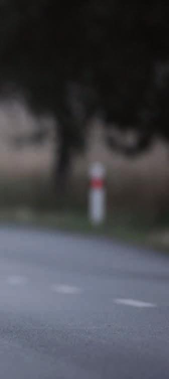 (bratrovi pozn. red.). Byli jsme smutní, poraženi, ale oba jsme věděli, že v takovém stavu nemůžeme pokračovat další tři dny, hodnotí své odstoupení ze závodu jeho autor heřman Volf.