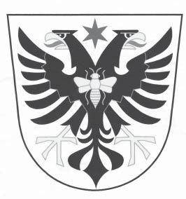 Bílovičtí zastupitelé rozhodli o podobě znaku a praporu na svém zasedání konaném dne 12. června 2003. Vybírali ze tří návrhů, které jim předložil heraldik Miroslav Pavlů.