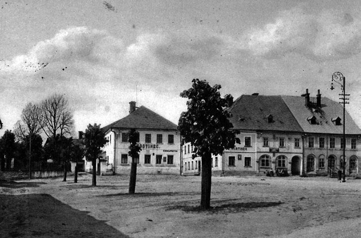 Vlček Bývalá