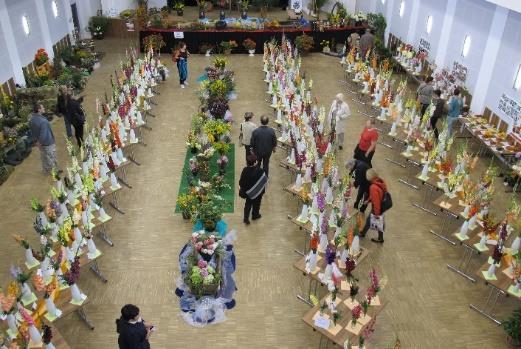 Byly přichystány tratě pro všechny věkové a výkonnostní kategorie. Nejprve od 10:00 hod. závodily děti do 12 let na okruhu kolem koupaliště.