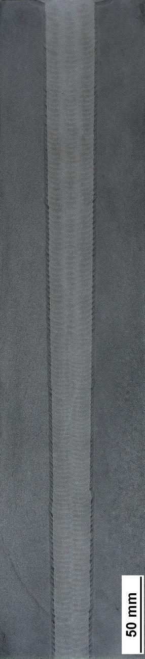 19 Zkouška