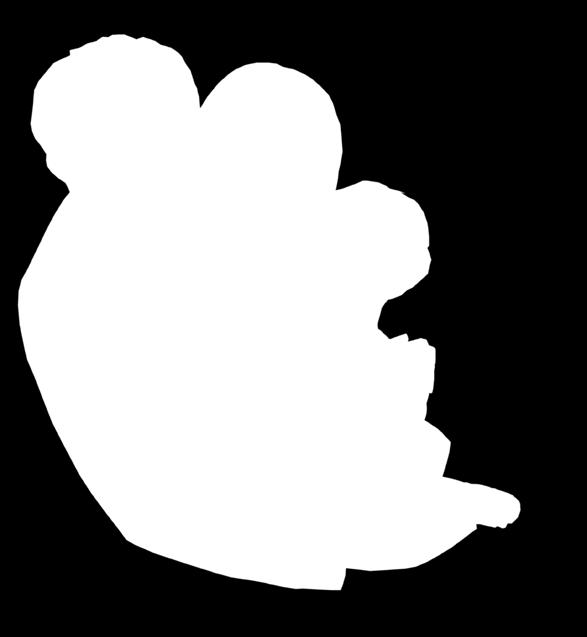 den