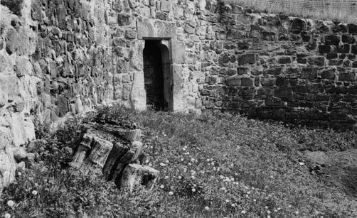 Foto Hvězda, 1982 2.