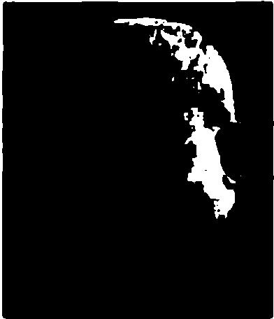 Pickstockovou, 2000; Usmíření-ontologie a omilostnění (Being Reconciled: Ontology and Pardon), 2003.