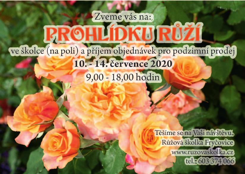 Realizace a opravy střech Developerská