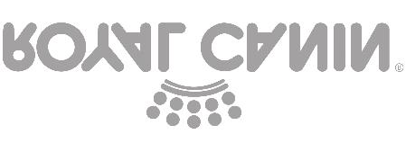Do podvědomí vystavovatelů, diváků i rozhodčích vstoupily pod názvem DUO-CACIB Brno a Vy právě otevíráte katalog jedné z nich.